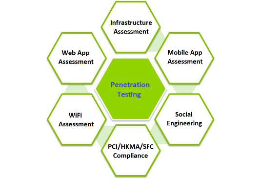 Web Application Penetration Testing Services